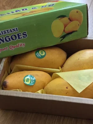 Kesar Mangoes