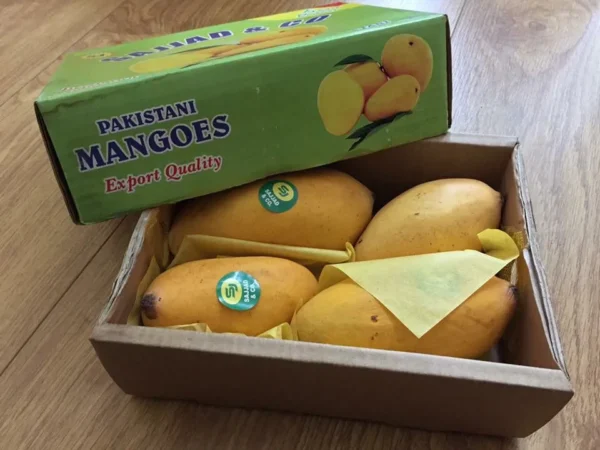 1536836483973-IMG_3745 Kesar Mangoes