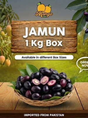 fe8581c8-e7c4-425b-9f40-90621afd1c0a-clean-clean Jamun 1 Kg Box